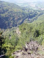30304-MJC-CASSES