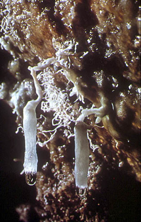 70 Grotte du plomb 72