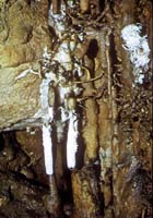 69 Grotte du plomb 72