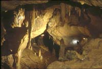 80 Mine du puech 78