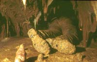 81 Mine du puech 78