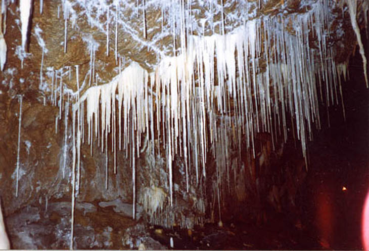059 reseau Lachambre 91