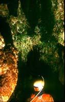 027 Le mont Marcou 88