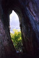 038 Grotte du Figuier 91