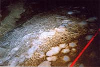 055 reseau Lachambre 91