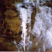 056 reseau Lachambre 91