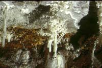 089 Grotte de Malaval 92