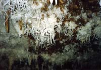 101 Grotte de Malaval 92