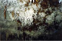 106 Grotte de Malaval 92
