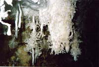 108 Grotte de Malaval 92
