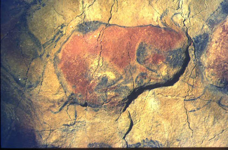 091 Cuevas de  Altamira 97