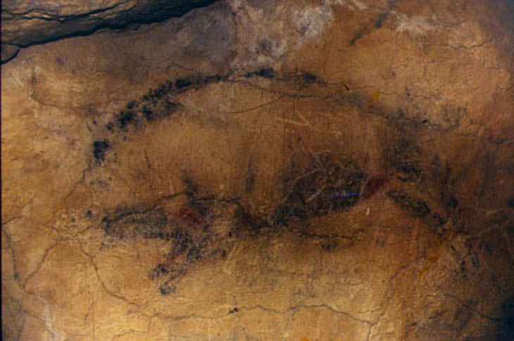 095 Cuevas de  Altamira 97