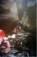062 Canyon Moucan 96