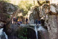 075 Canyon TAPOUL 96