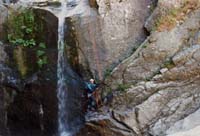 077 Canyon TAPOUL 96