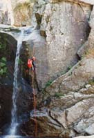 079 Canyon TAPOUL 96