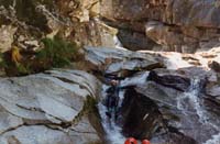 080 Canyon TAPOUL 96