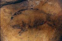 095 Cuevas de  Altamira 97