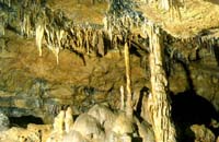 099 Cuevas de  Altamira 97