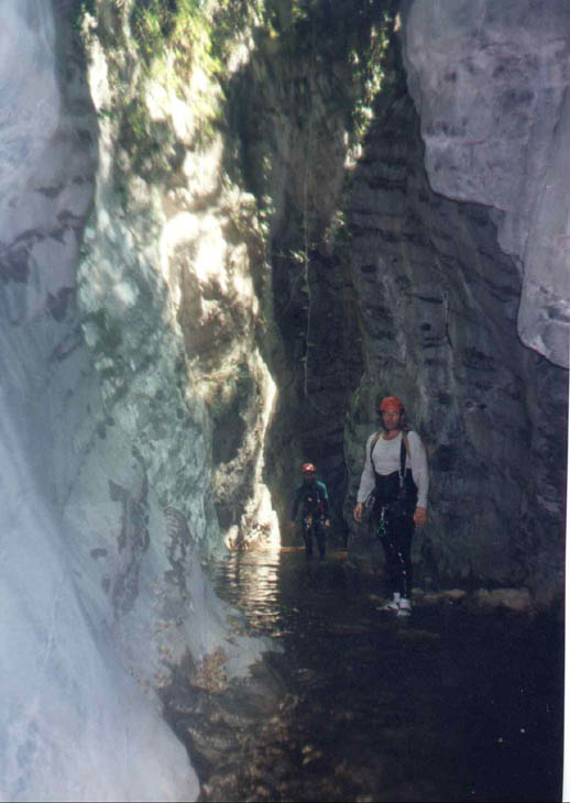 07846 Canyon Johanna 98