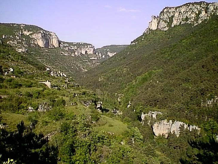 08073 Gorges du Tarn 98