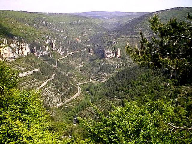 08075 Gorges du Tarn 98
