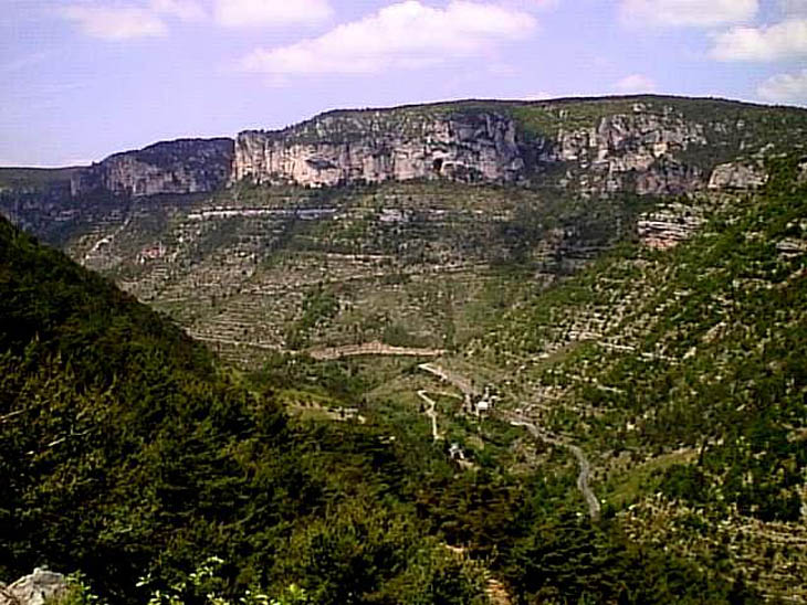 08076 Gorges du Tarn 98