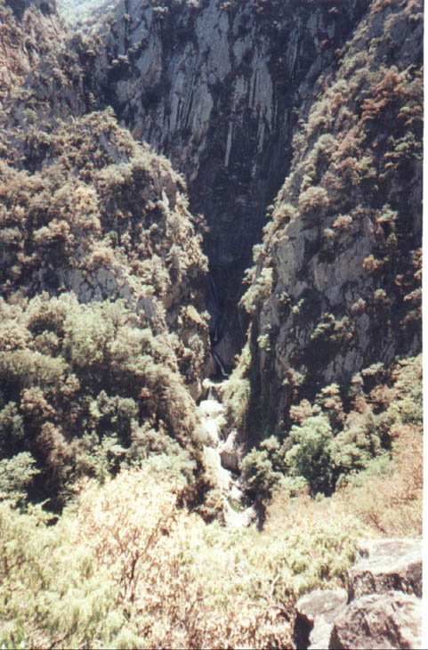 08153 Canyon Llech 98