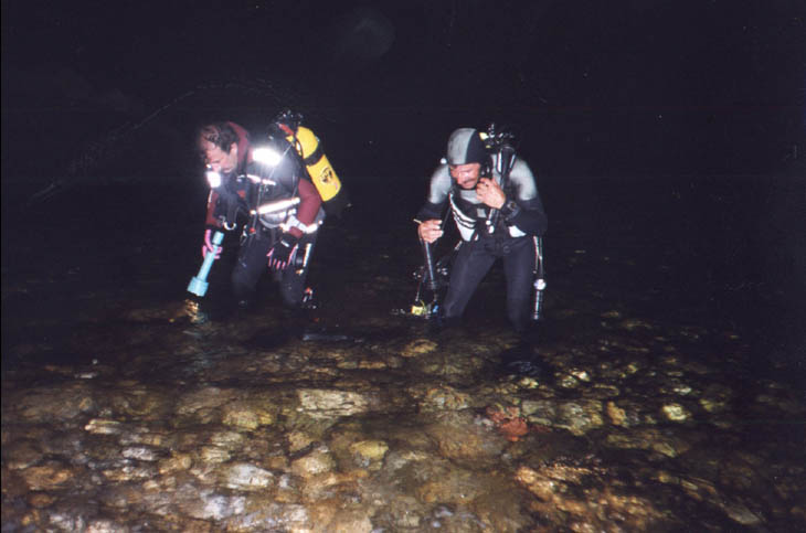 08320 05Alain-Gaby de nuit