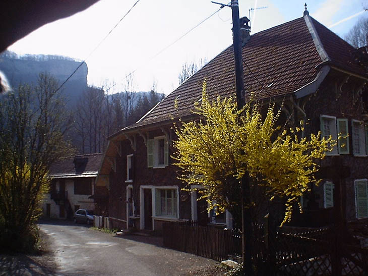 08994 Jura 2000