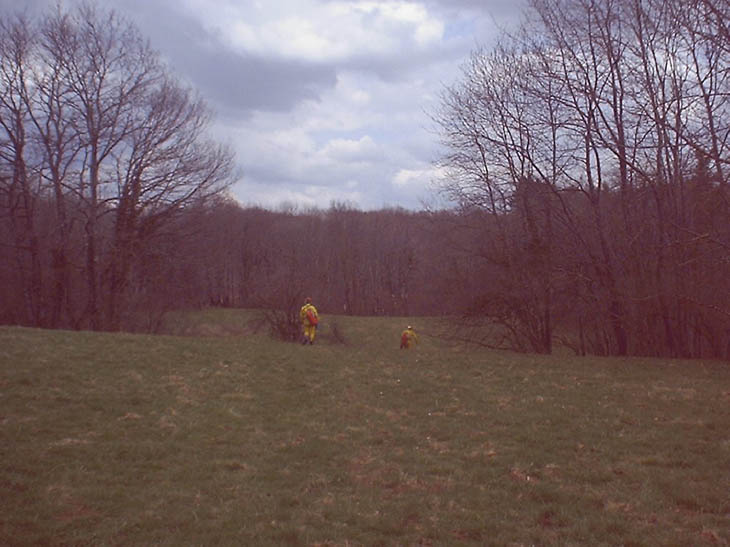 09008 Jura 2000