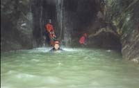 07837 Canyon Johanna 98