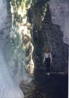 07846 Canyon Johanna 98