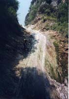 07869 Canyon Johanna 98