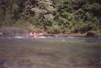 08066 Gorges du Tarn 98