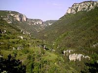 08073 Gorges du Tarn 98