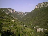 08074 Gorges du Tarn 98