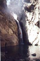 08126 Canyon Llech 98