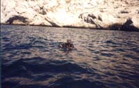 08334 alain