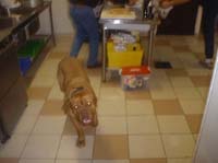 08389 IMG_0044