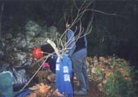 08676 Desob Ardeche 99