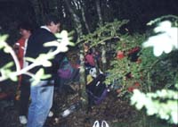 08683 Desob Ardeche 99