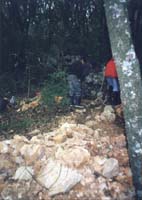 08685 Desob Ardeche 99