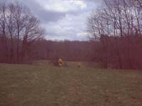 09008 Jura 2000