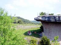 022 le champignon03