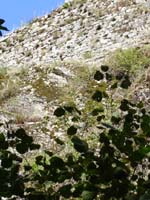 082 Chateau de Contrast 04