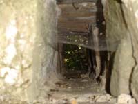 118 Grotte de Roquemaure 04