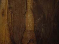 126 Grotte de Roquemaure 04
