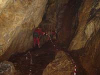 133 Grotte de Roquemaure 04