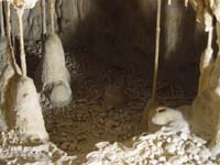 148 Grotte de Roquemaure 04